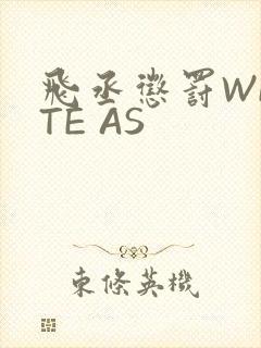 飞丞惩罚WRITE AS