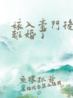 嫁入豪门后我又离婚了