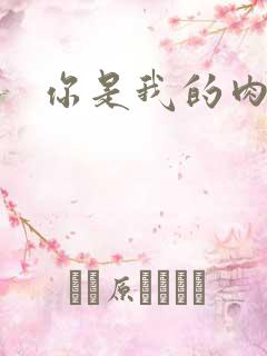 你是我的肉便器