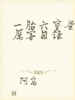 一胎六宝爸比好厉害目录