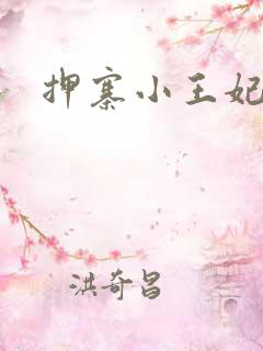 押寨小王妃