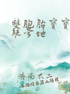 双胞胎宝宝的总统爹地