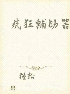 疯狂辅助器