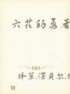 六花的勇者小说