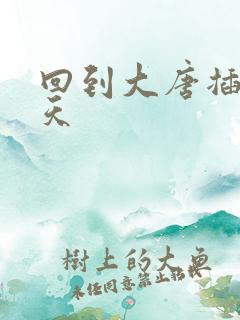 回到大唐插武则天