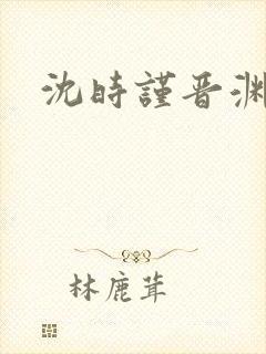 沈时谨晋渊小说