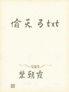 偷天弓txt