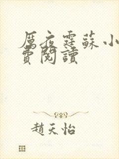 厉夜霆苏小汐免费阅读