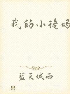 我的小后妈小说