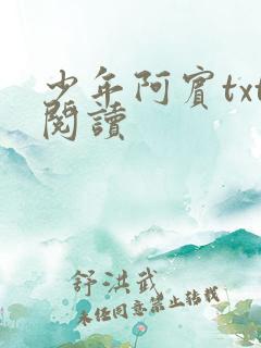 少年阿宾txt阅读