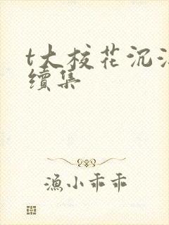 t大校花沉浮录续集