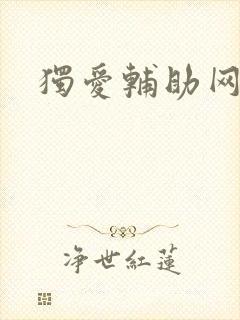 独爱辅助网