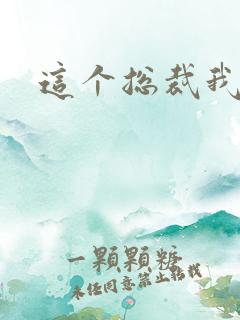 这个总裁我要了