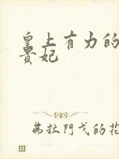 皇上有力的撞着贵妃