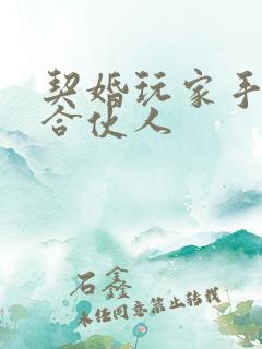 契婚玩家手册之合伙人