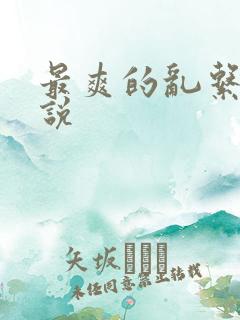 最爽的乱系列小说