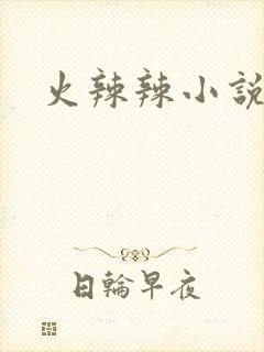 火辣辣小说全集