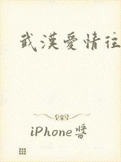 武汉爱情往事