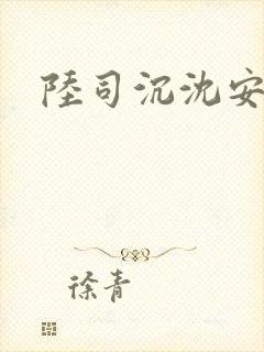 陆司沉沈安