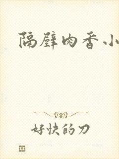 隔壁肉香小说