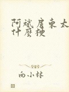 阿斌房东太太是什么梗