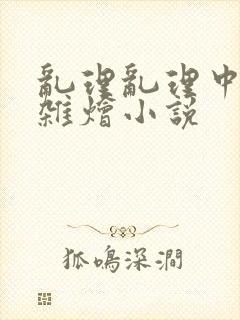 乱理乱理中文大杂烩小说