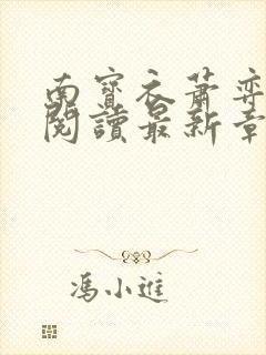 南宝衣萧弈免费阅读最新章节