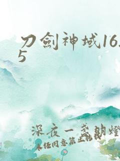 刀剑神域16.5