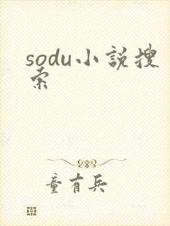 sodu小说搜索