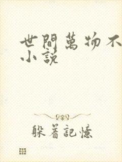 世间万物不及你小说