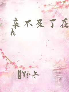 来不及了在车ch