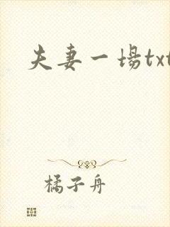 夫妻一场txt