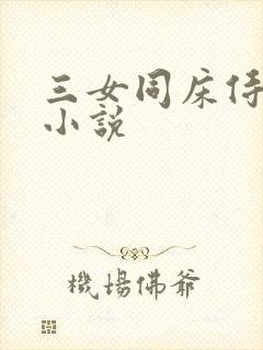 三女同床侍一夫小说