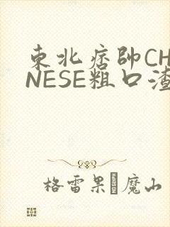 东北痞帅CHINESE粗口渣男