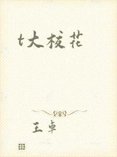 t大校花
