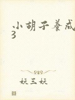 小胡子养成计划3