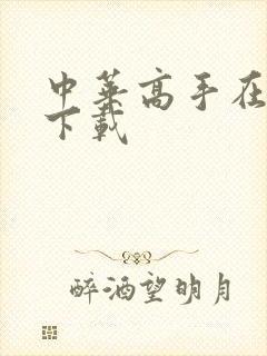 中华高手在异世下载