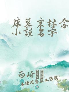 席慕寒林念儿的小说名字