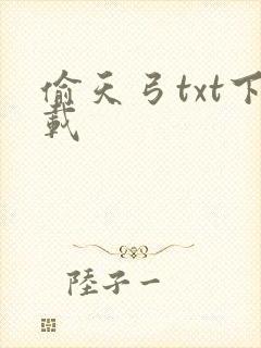 偷天弓txt下载