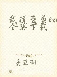 武道至尊txt全集下载