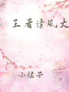 王者清风大结局