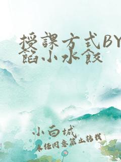 授课方式BY肉馅小水饺