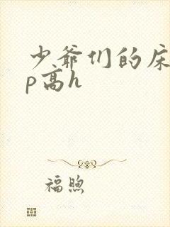 少爷们的床奴np高h