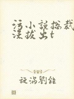 污小说总裁整夜没拔出t