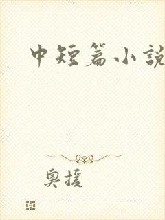 中短篇小说集