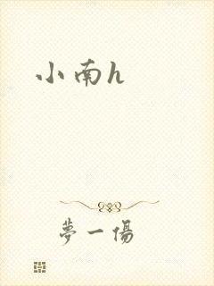小南h