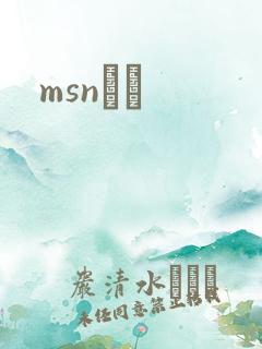 msnС˵