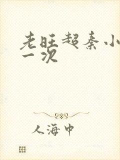 老旺超秦小雨第一次