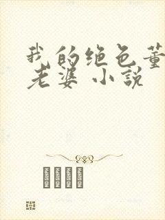 我的绝色董事长老婆 小说