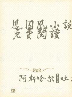 凤囚凰小说全文免费阅读